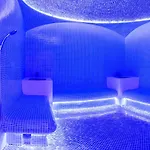 منتجع Premium Wellness Institute